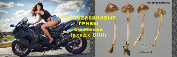 эйфоретик Алексеевка