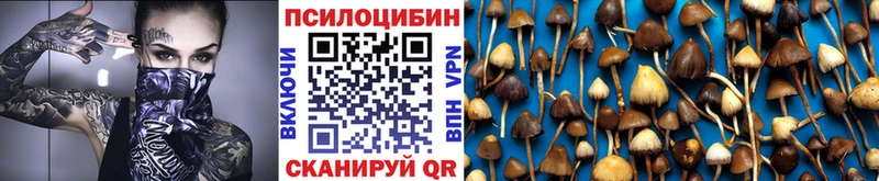 Псилоцибиновые грибы Magic Shrooms Алупка